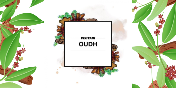 Blog Covers 2 700x350 1