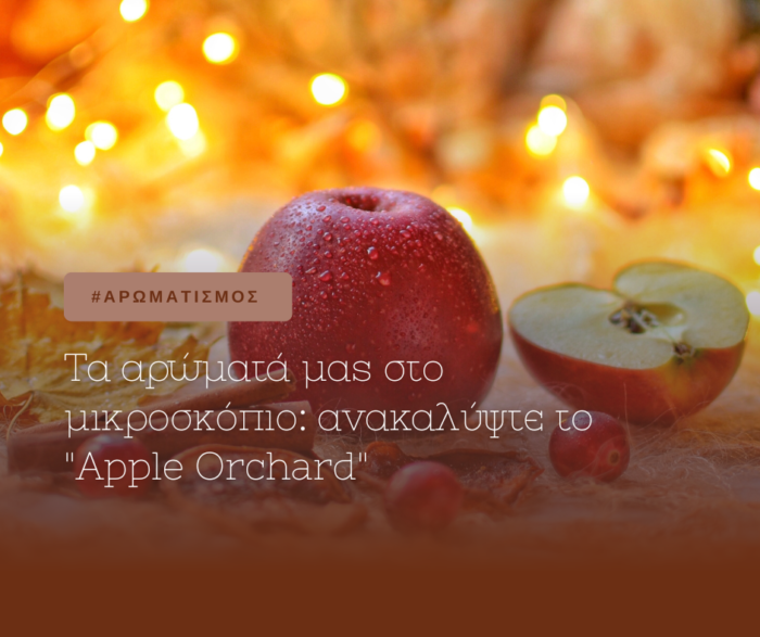 Blog Covers Ανάρτηση Facebook 1 700x587 1