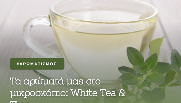 WHITE TEA THYME BLOG 700x587 1