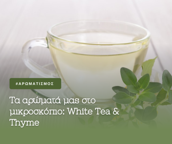 WHITE TEA THYME BLOG 700x587 1