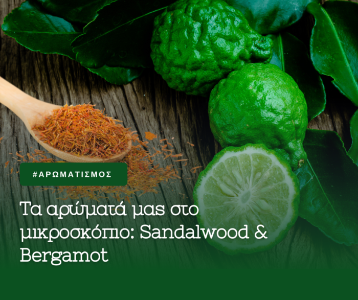 ΤΑ ΑΡΩΜΑΤΑ ΜΑΣ ΣΤΟ ΜΙΚΡΟΣΚΟΠΙΟ BERGAMONT SANDALWOOD 700x587 1