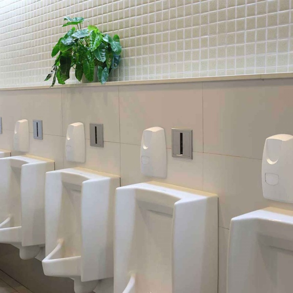 Quadrasan κεντρική εικόνα